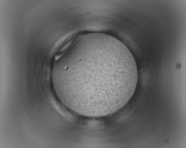 X0000110710400200907022028