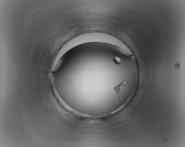 X0000110710401200907022028