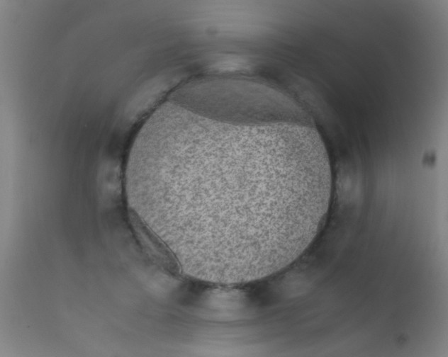 X0000110710403200907022028