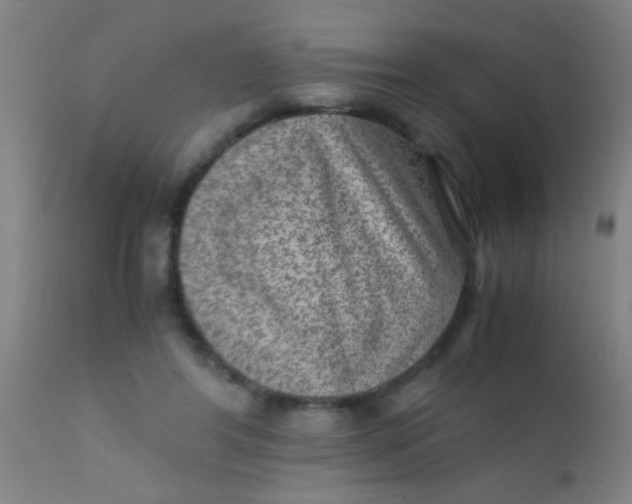 X0000110710404200907022028