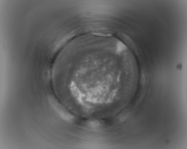 X0000110710405200907022028