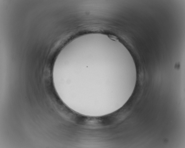 X0000110710407200907022028