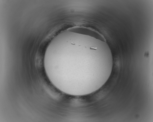 X0000110710408200907022028