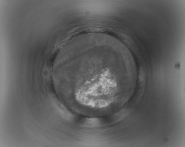 X0000110710409200907022028