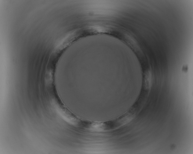 X0000110710410200907022027