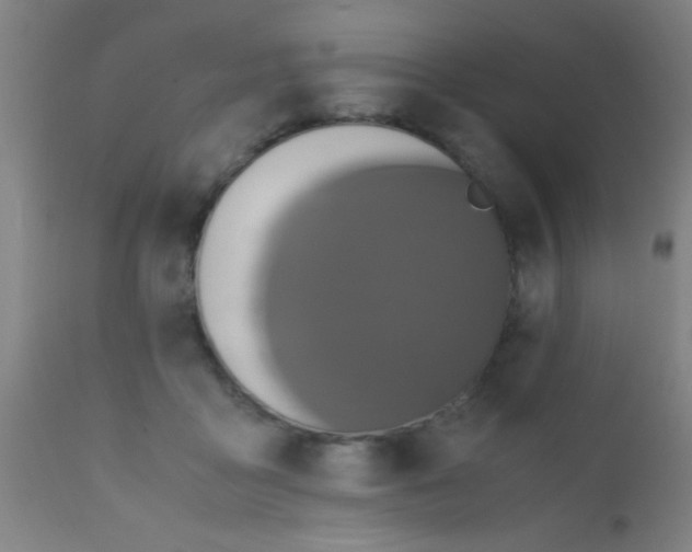 X0000110710411200907022027