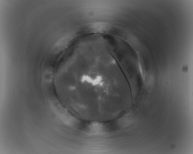 X0000110710413200907022027