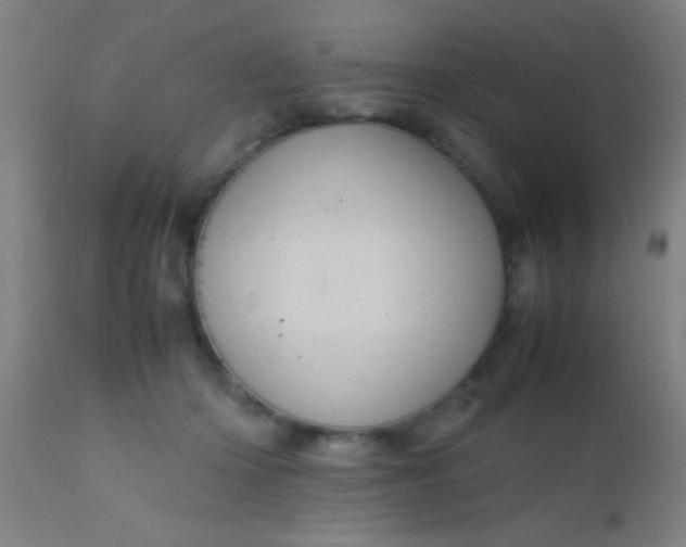 X0000110710414200907022027