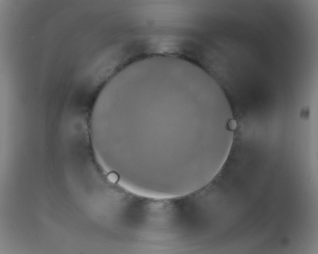 X0000110710415200907022027