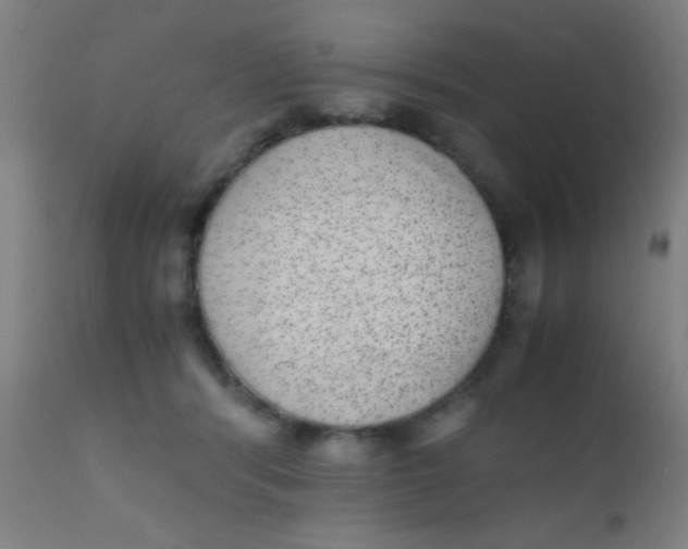 X0000110710416200907022027