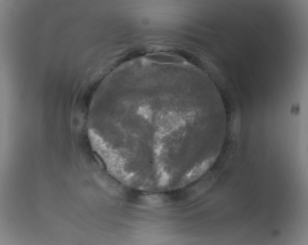 X0000110710417200907022027