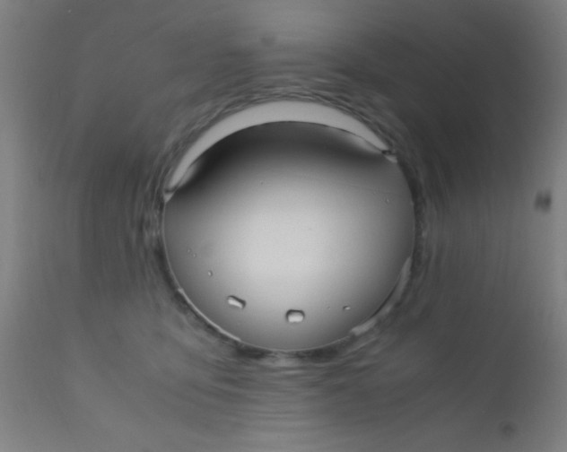 X0000110710419200907022027