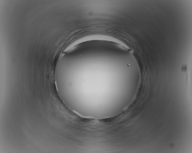 X0000110710421200907022027