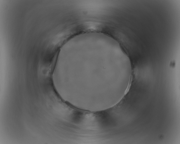 X0000110710423200907022027