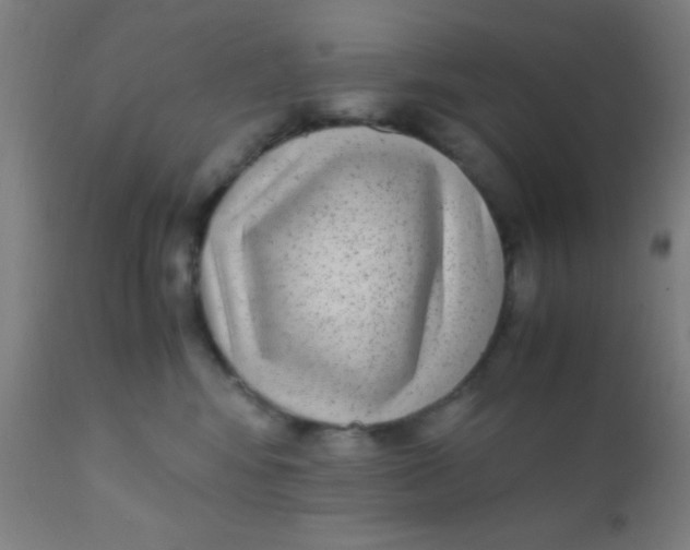 X0000110710424200907022027