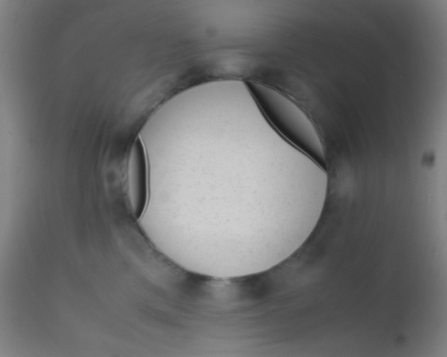 X0000110710425200907022027