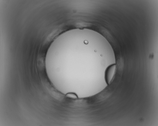 X0000110710426200907022027