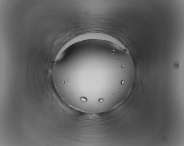 X0000110710427200907022027