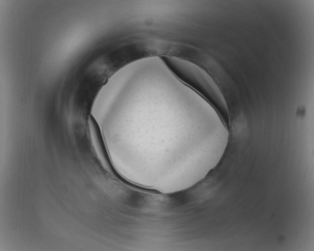 X0000110710429200907022027