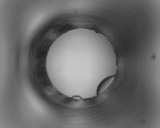 X0000110710430200907022027