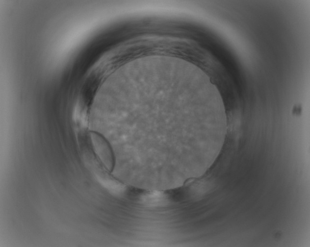 X0000110710431200907022027