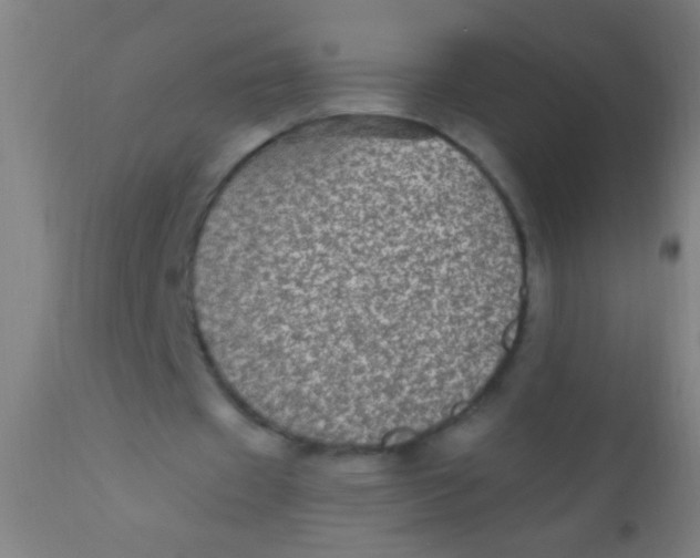 X0000110710433200907022027