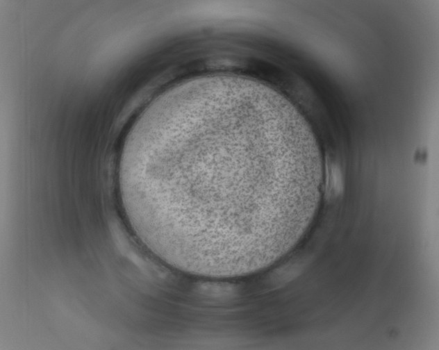 X0000110710435200907022027