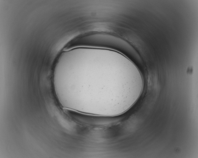 X0000110710436200907022027