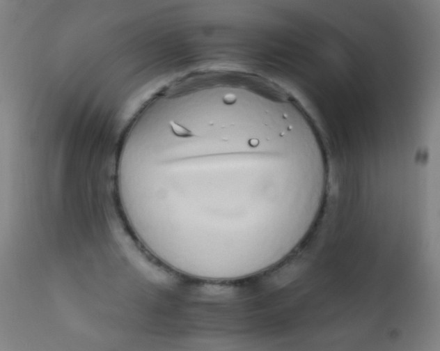 X0000110710437200907022027