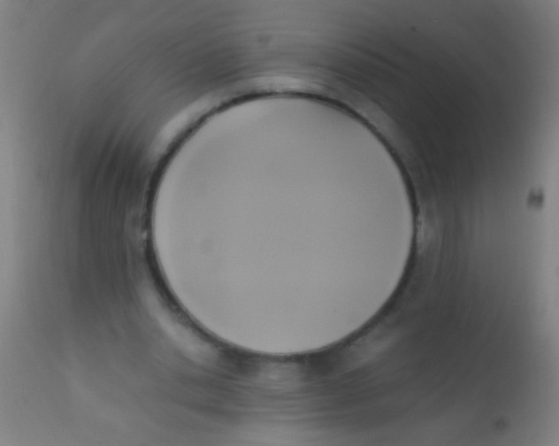 X0000110710438200907022027