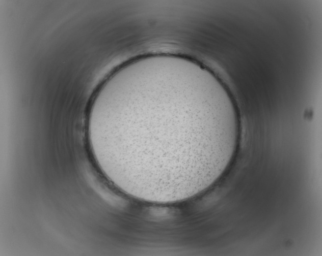 X0000110710439200907022027