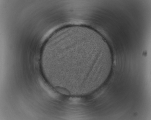 X0000110710440200907022027