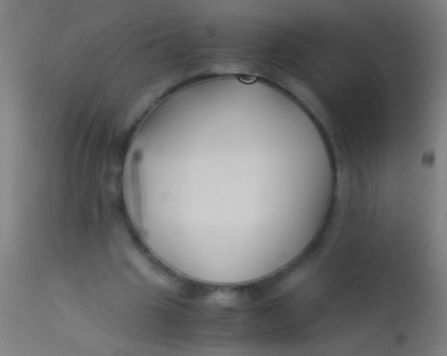 X0000110710441200907022027