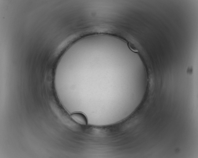 X0000110710442200907022027