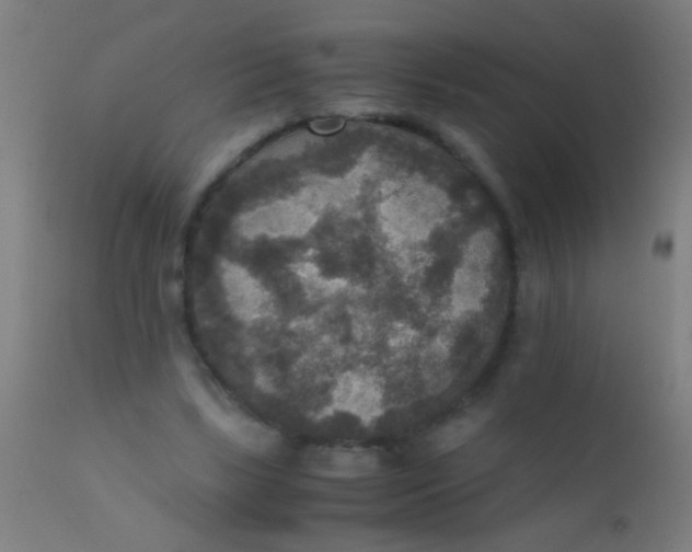 X0000110710443200907022027