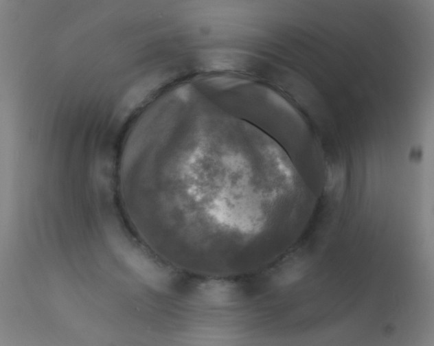 X0000110710444200907022027