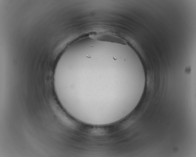 X0000110710445200907022027