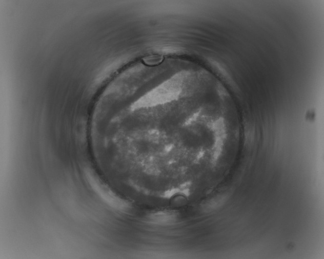 X0000110710447200907022027