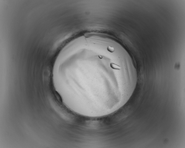 X0000110710448200907022027