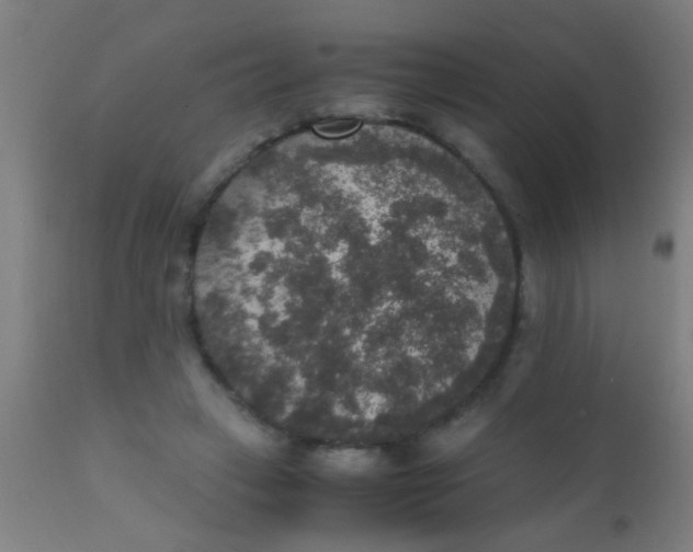 X0000110710449200907022027