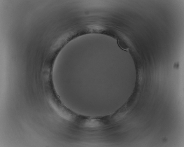 X0000110710451200907022027