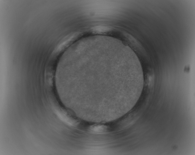 X0000110710452200907022027