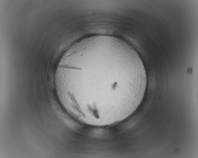 X0000110710453200907022027