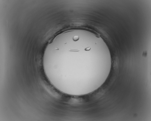 X0000110710455200907022027