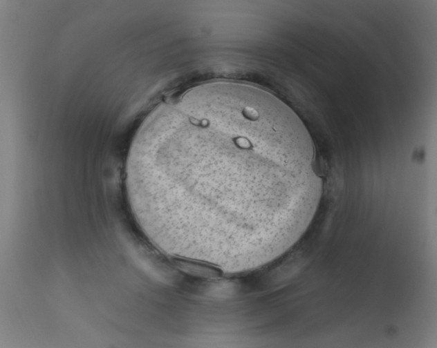 X0000110710456200907022027