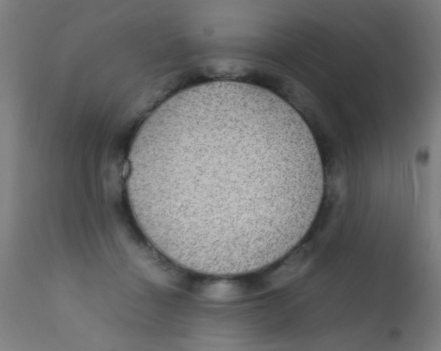 X0000110710460200907022027