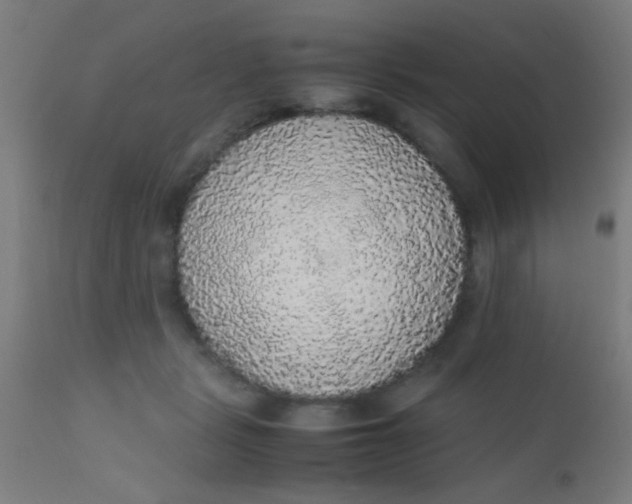 X0000110710461200907022027