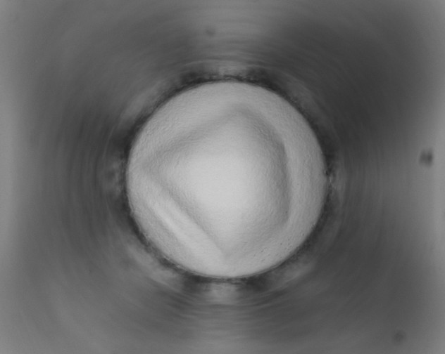 X0000110710462200907022027