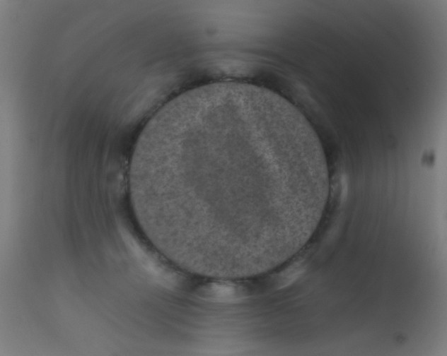 X0000110710464200907022027