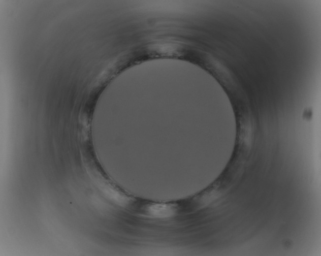 X0000110710465200907022027